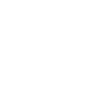 TrainerNachoo's emblem