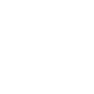 dopyfly26's emblem