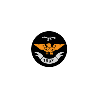 1967ray's emblem