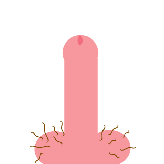 Kleygasm's emblem