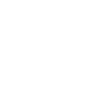 Ricardo-AC-666's emblem