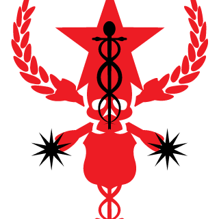 DMITTTIY's emblem