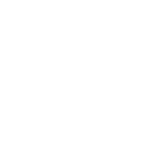broko98833's emblem