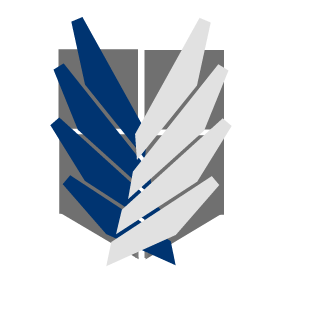 SALEH_SAS's emblem