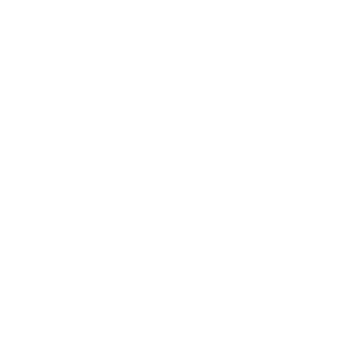 Mz_Vix3n's emblem