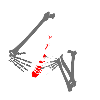 Squaaz77's emblem