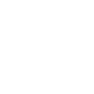 dnz100's emblem