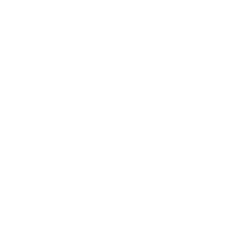 summerbummer12's emblem