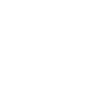 Mr_skoot's emblem