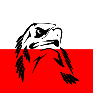BART84POLSKA's emblem