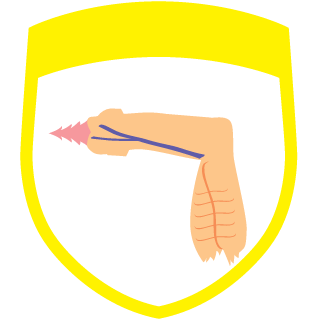 Schurzenfegel's emblem