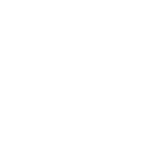 StormerFPS's emblem