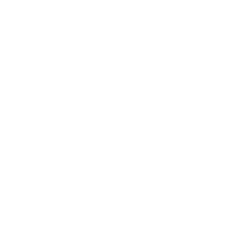 NoviTel_Ru's emblem