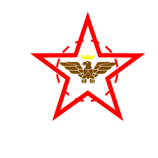wellington369br's emblem