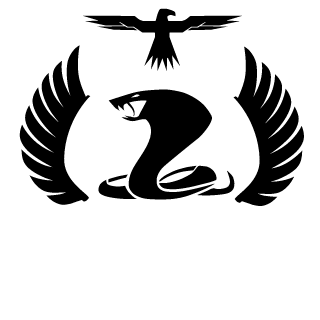 pirate0105's emblem