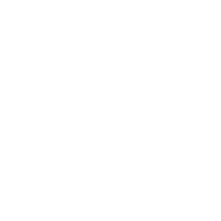 Elememocasillao's emblem