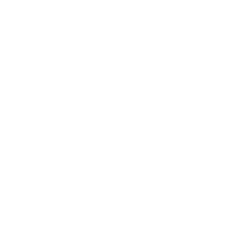 Andr091's emblem