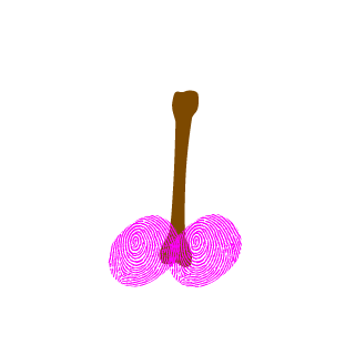 Disco5188's emblem