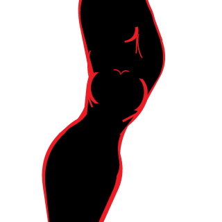 VLNC's emblem