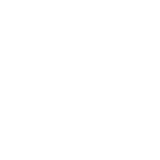 Zyk155's emblem
