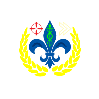 Henriqueg96's emblem