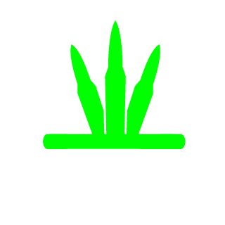 corazzaz's emblem
