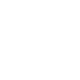 metornov's emblem
