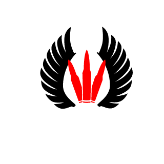 DragonKoks's emblem