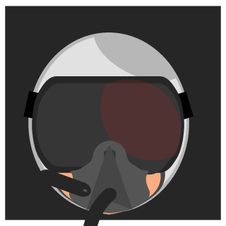 AmplifiedLlama's emblem