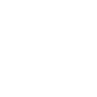 Ruslan9556's emblem