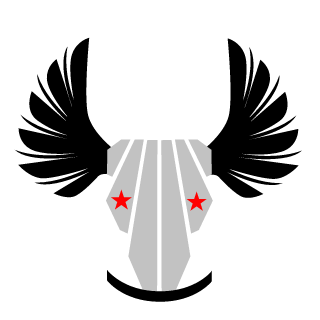 NB6996669's emblem