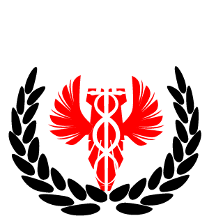 DingyChinger's emblem