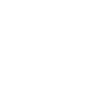 58mps's emblem