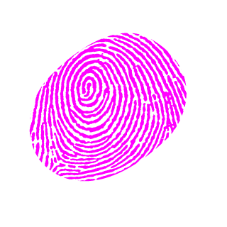 Fell_Soma's emblem