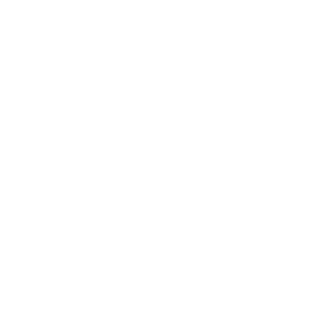 lyhfbb's emblem