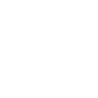 DIDDYKONGCHILD's emblem