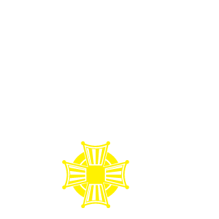 hbsvnc's emblem