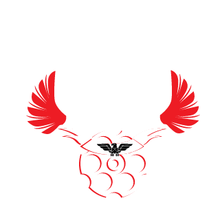 WarwickDavis666's emblem