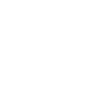 Protteus7's emblem