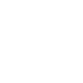 InfoTech-PC004's emblem