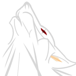 HebuLoneWolf's emblem