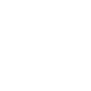 flyin18t's emblem