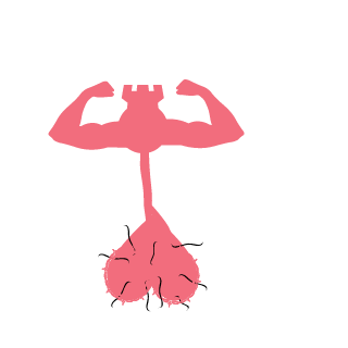 DarthSaggySacky's emblem