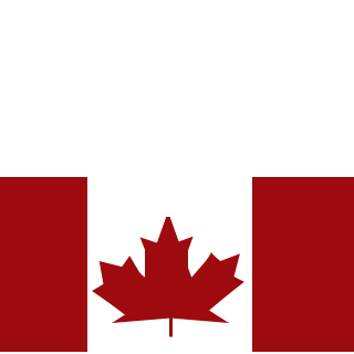heavyfire333's emblem