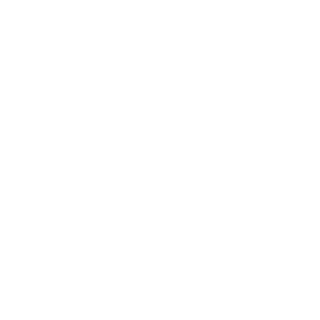 Schockh's emblem