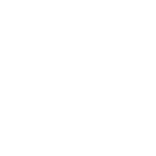 ll3l's emblem