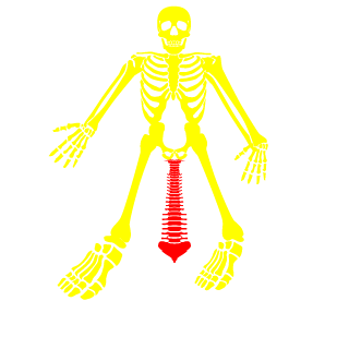 igoist001's emblem