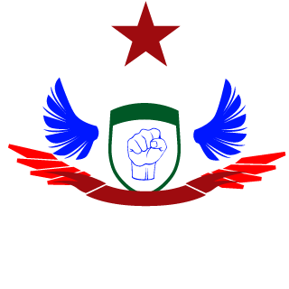 aleemali6490's emblem