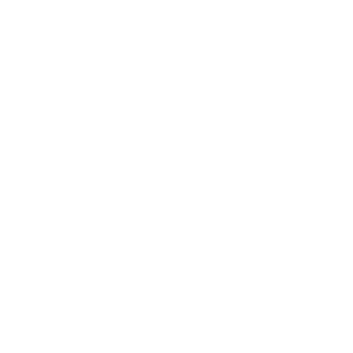 DivisionGER's emblem