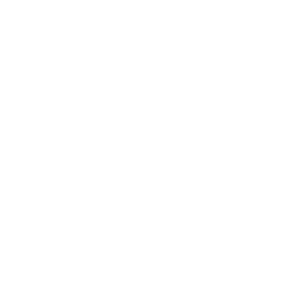 Stevenzheng2's emblem